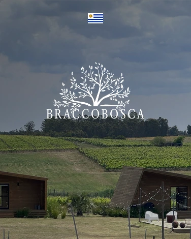 Bracco Bosca