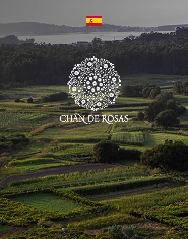 Chan de Rosas